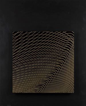 Curva di optimum di Parete e curva di piega di Whitney 