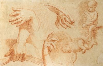 Studio di Mani e di Bimbo (recto); e Studio di Mani (verso)
