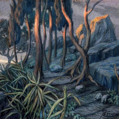 Alberi ed Agavi