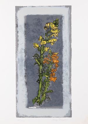 Fiori