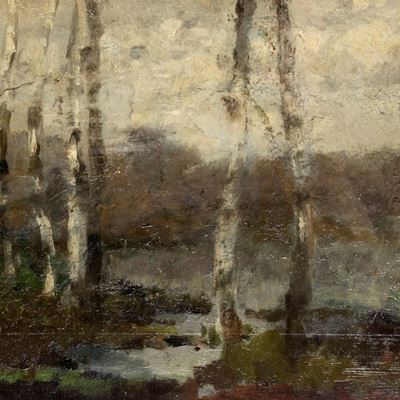 Pioppi Lungo il Fiume