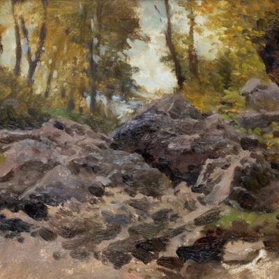 Rocce nel Bosco