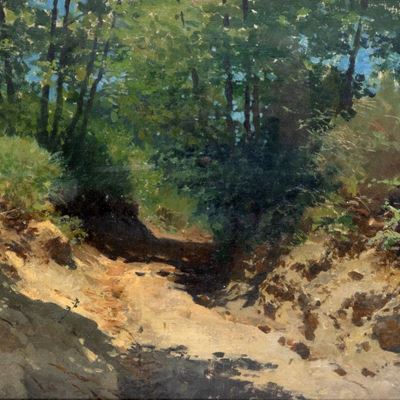 Sentiero fra gli Alberi
