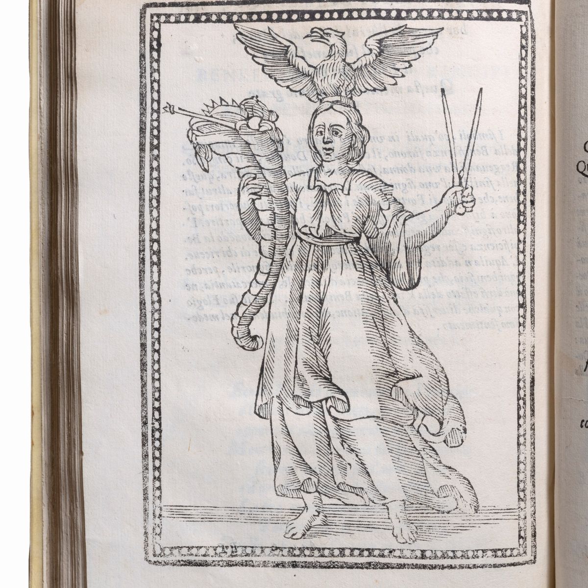 Francesco Orilia - Il Zodiaco: Idea di perfezione dei principi, rappresentata come un trionfo dal...