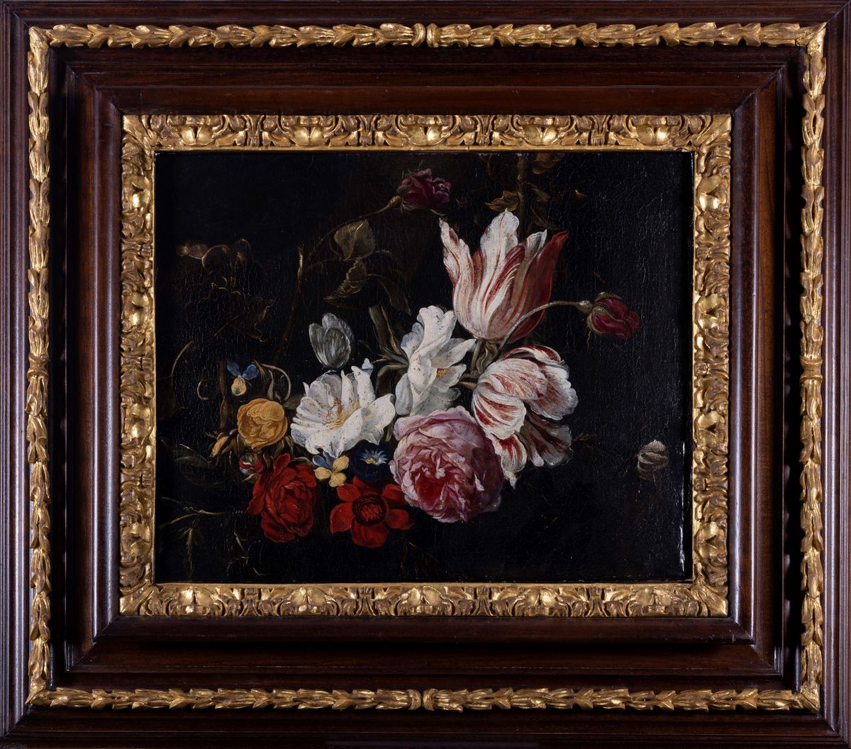 Scuola Fiamminga, Secolo XVII - Rose, Tulipani e Altri Fiori