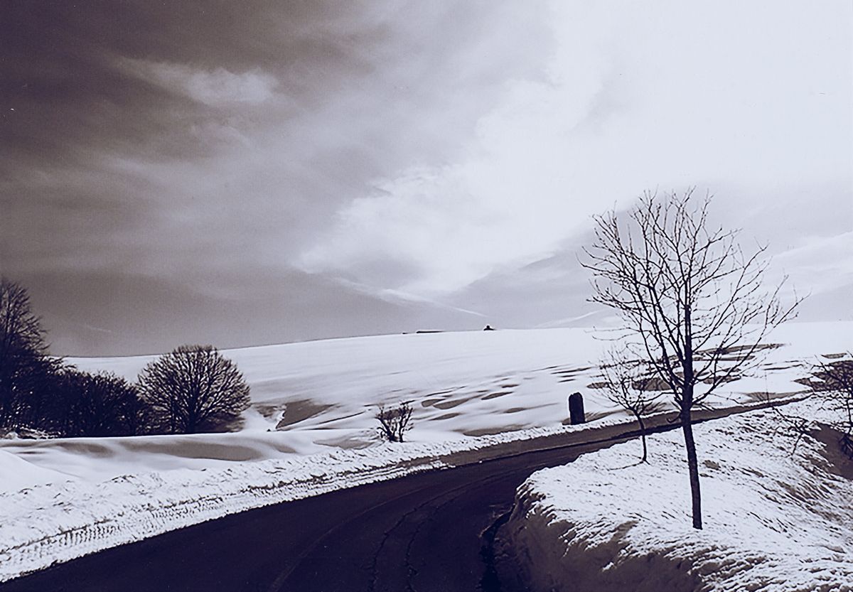 Abbas Gharib - Composizione Cinematica