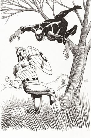 Captain America vs. Black Panther