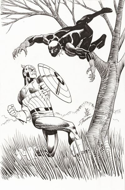 Captain America Vs. Black Panther