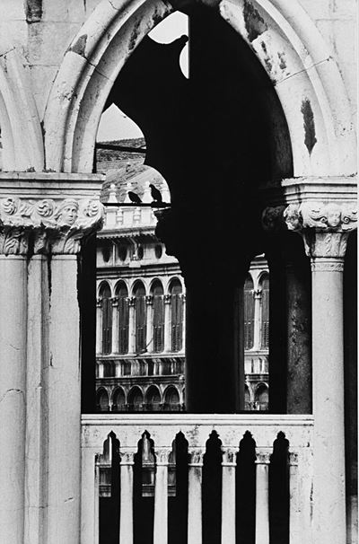 Venezia