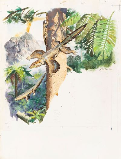 Gli Animali della Preistoria - Proaves