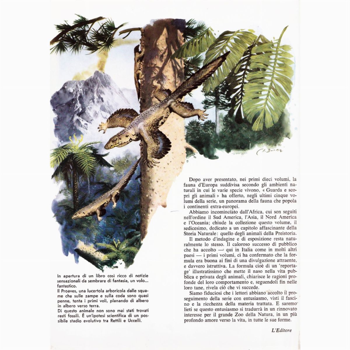 Zdenek Burian - Gli Animali della Preistoria - Proaves