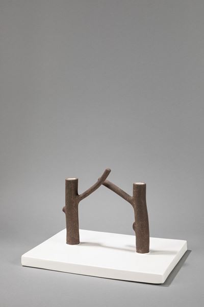 Collezione Bosco