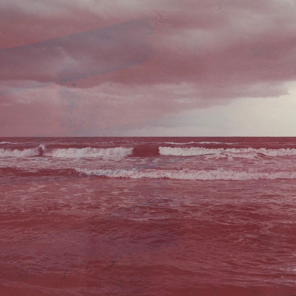 Silvano Maggi - Vento di Mare